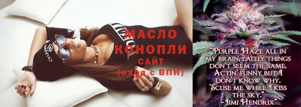 дмт Дмитровск