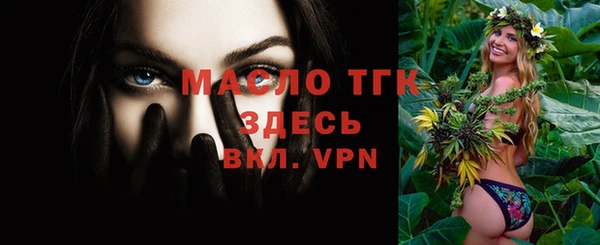 дмт Дмитровск