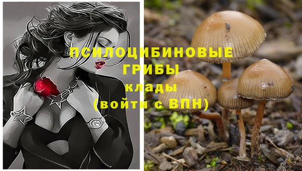 марки nbome Дмитров