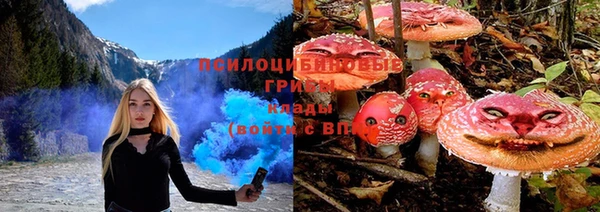 дмт Дмитровск