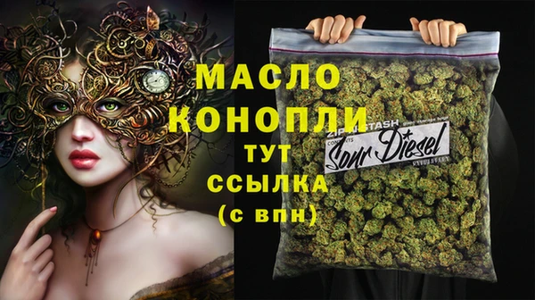 дмт Дмитровск