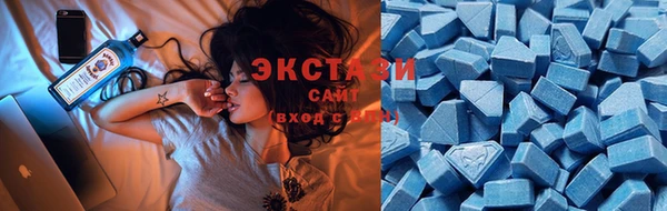 дмт Дмитровск