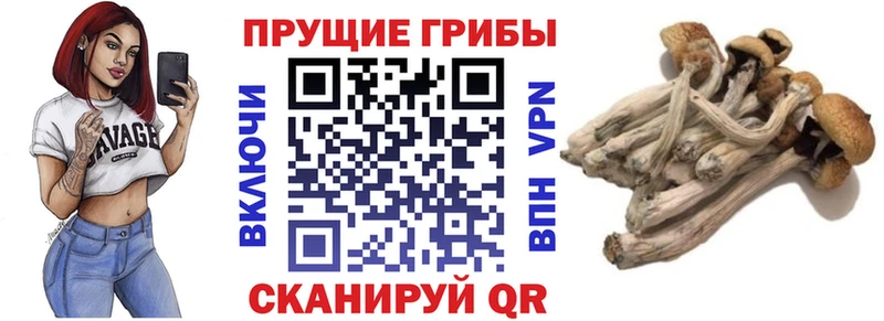 Галлюциногенные грибы Magic Shrooms  Купить закладки  Бутурлиновка 