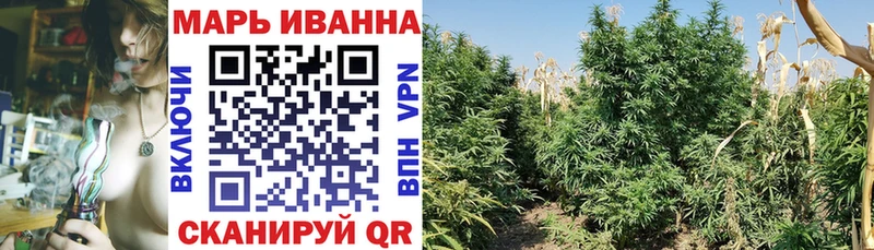 Купить где  Бутурлиновка  Канабис Ganja 